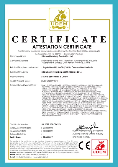 certificate-item-03