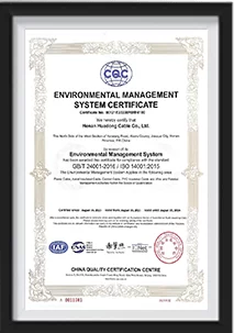 certificate-01