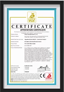 certificate-02